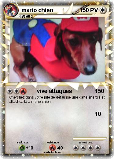 Pokemon mario chien