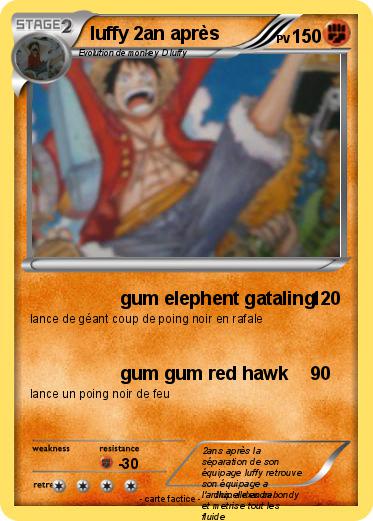 Pokemon luffy 2an après