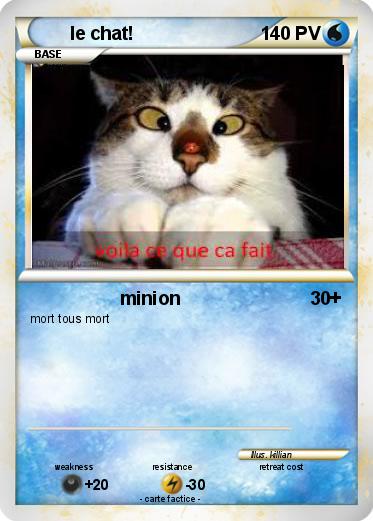 Pokemon le chat!