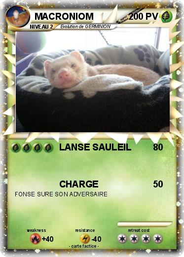 Pokemon MACRONIOM