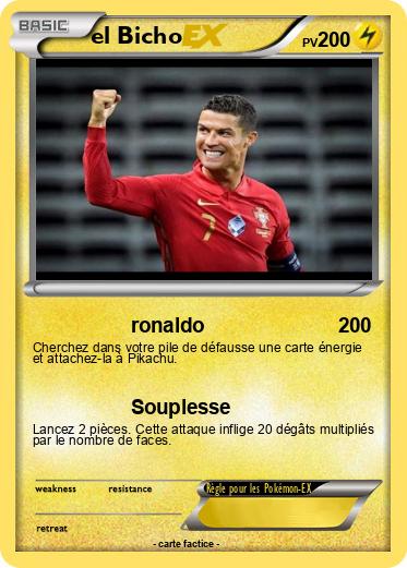 Pokemon el Bicho
