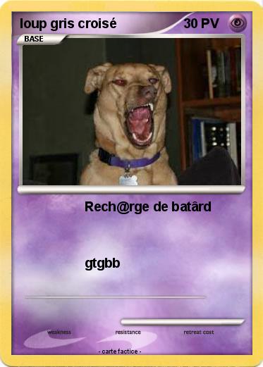 Pokemon loup gris croisé