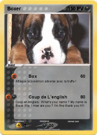 Pokemon Boxer