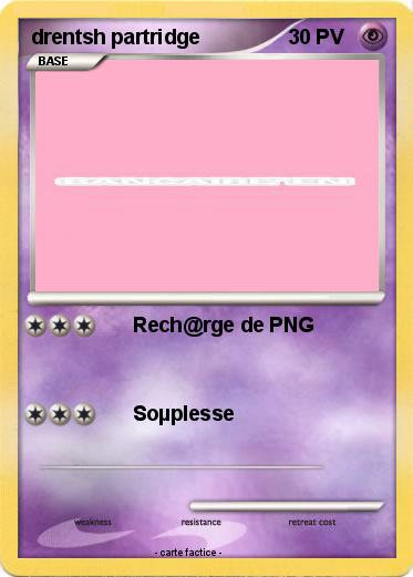 Pokemon drentsh partridge