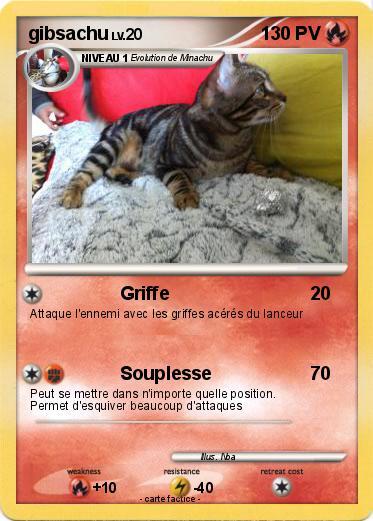 Pokemon gibsachu