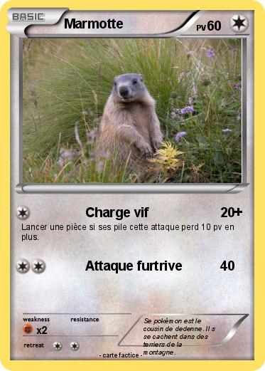 Pokemon Marmotte