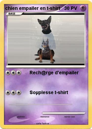 Pokemon chien empailer en t-shirt