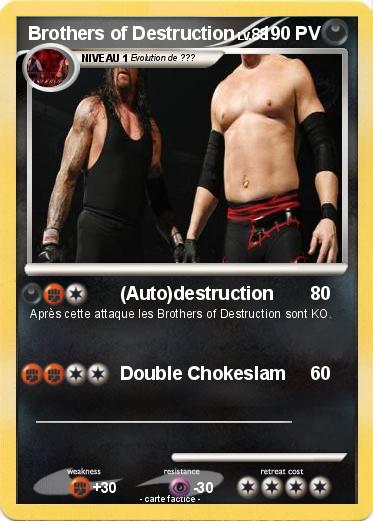 Pokemon Brothers of Destruction