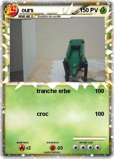 Pokemon ours