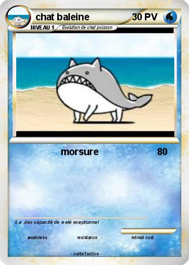 Pokemon chat baleine