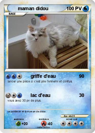 Pokemon maman didou