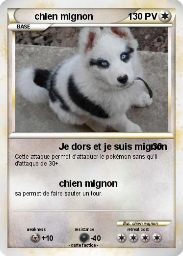 Pokemon chien mignon