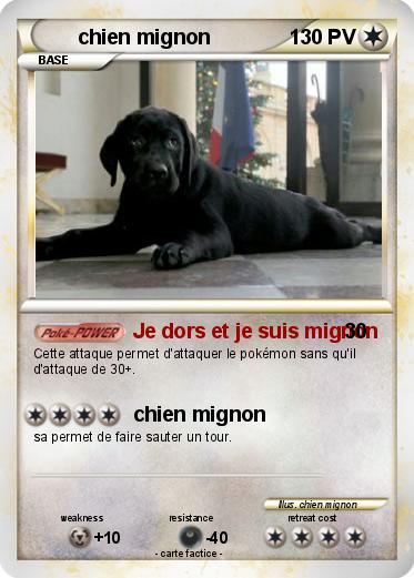 Pokemon chien mignon
