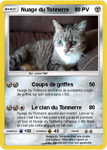 Pokemon Nuage du Tonnerre