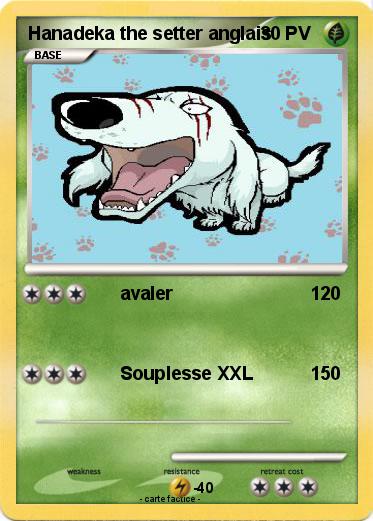 Pokemon Hanadeka the setter anglais
