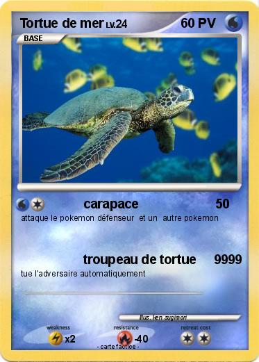 Pokemon Tortue de mer