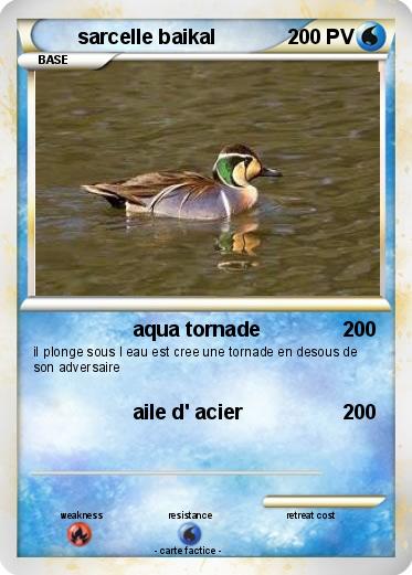 Pokemon sarcelle baikal