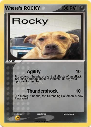 Pokemon Where’s ROCKY