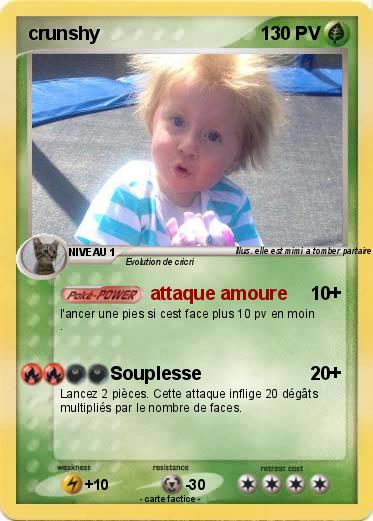 Pokemon crunshy