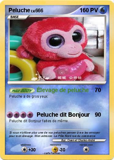 Pokemon Peluche