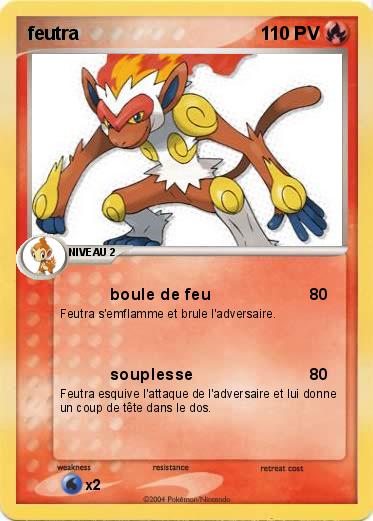 Pokemon feutra
