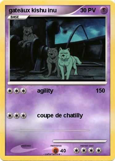 Pokemon gateâux kishu inu