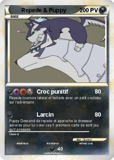 Pokemon Repede & Puppy