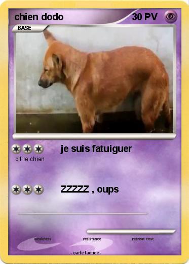 Pokemon chien dodo