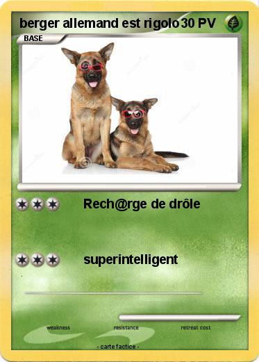 Pokemon berger allemand est rigolo