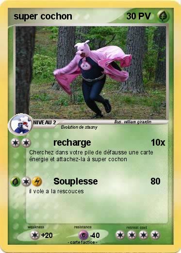 Pokemon super cochon