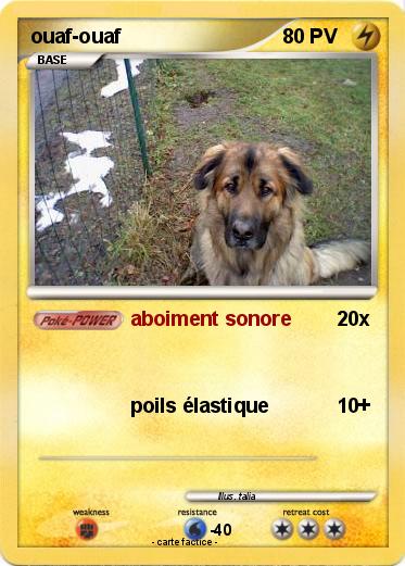 Pokemon ouaf-ouaf