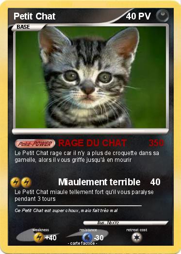 Pokemon Petit Chat