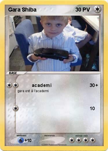 Pokemon Gara Shiba