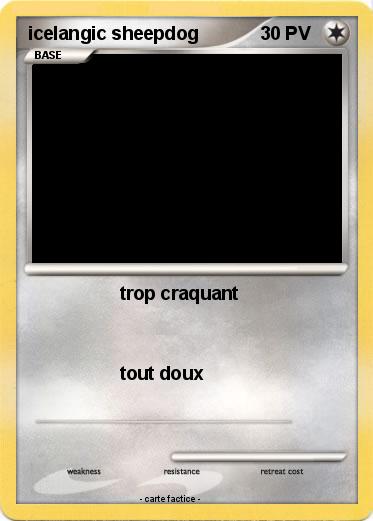 Pokemon icelangic sheepdog