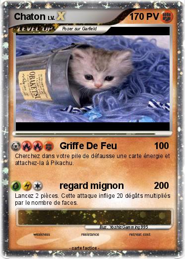 Pokemon Chaton