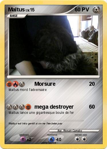 Pokemon Maltus