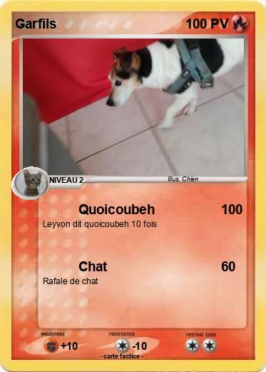 Pokemon Garfils