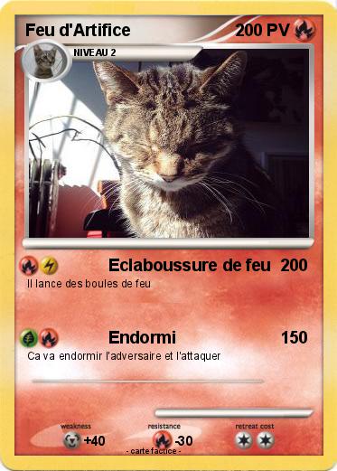 Pokemon Feu d'Artifice