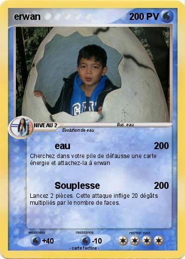 Pokemon erwan
