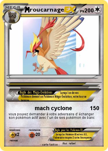 Pokemon roucarnage