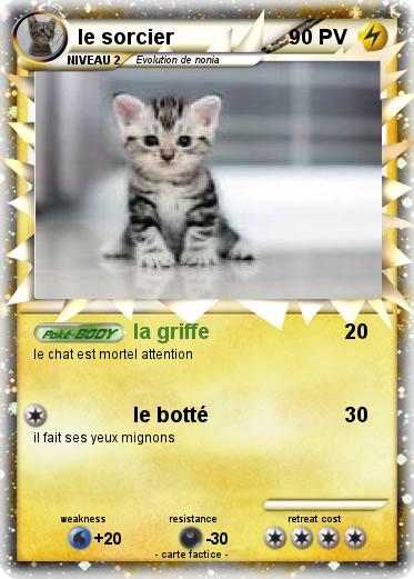 Pokemon le sorcier