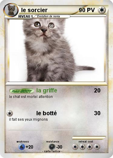Pokemon le sorcier