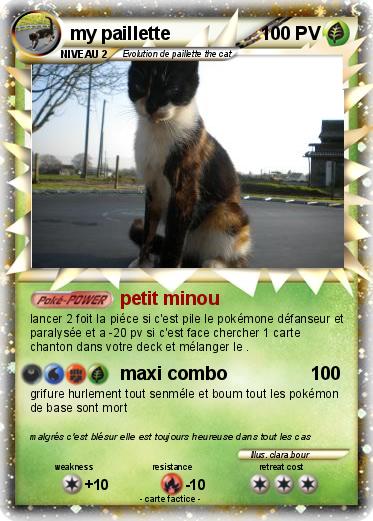 Pokemon my paillette