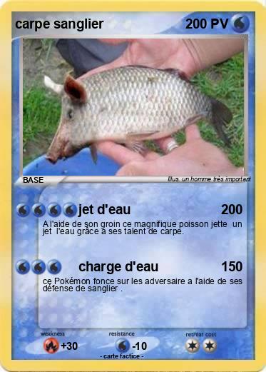 Pokemon carpe sanglier