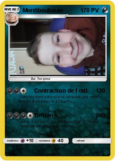 Pokemon Montibouboule