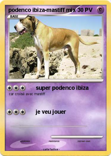 Pokemon podenco ibiza-mastiff mix