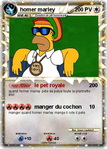 Pokemon homer marley