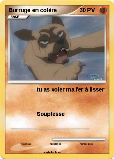 Pokemon Burruge en colère