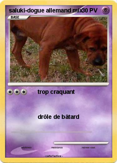 Pokemon saluki-dogue allemand mix