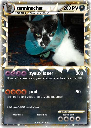 Pokemon terminachat